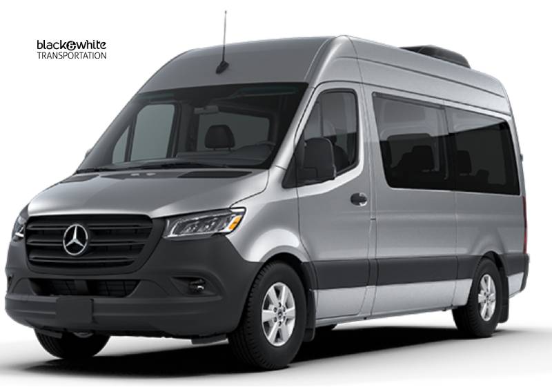 Passenger Van for Accessible Transportation