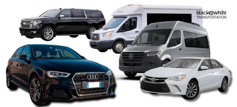 Professional Transportation Fleet With Sedans, Vans, and Shuttles