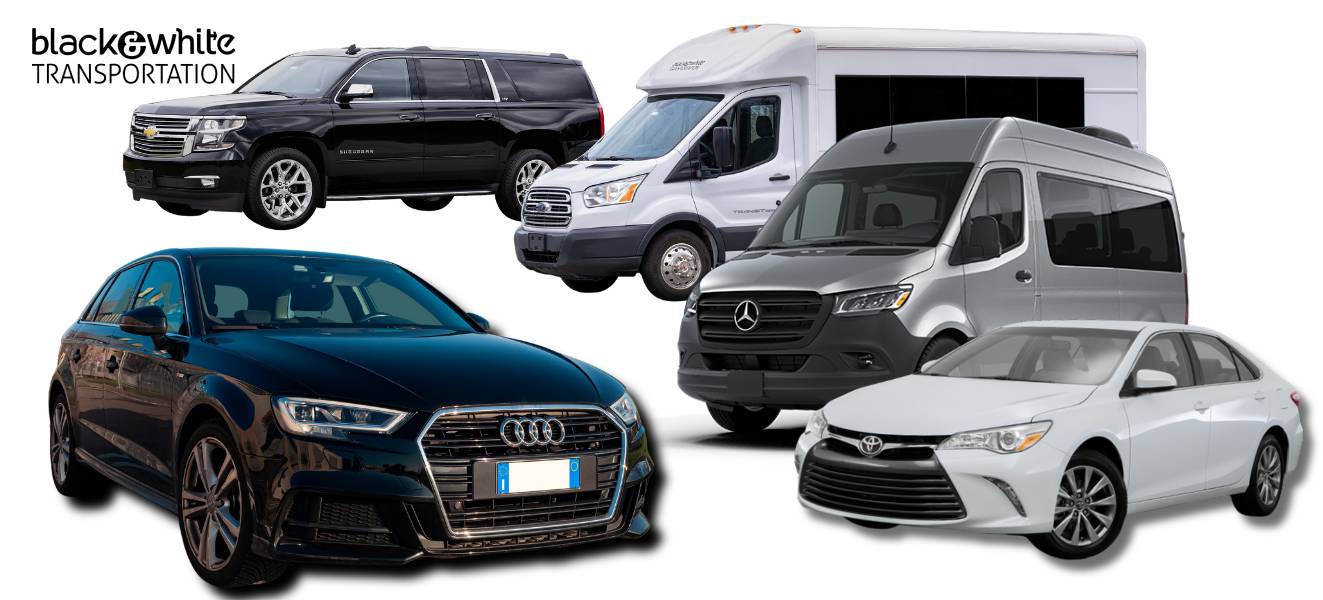 Diverse Fleet of Sedans and Handicap Accessible Vans