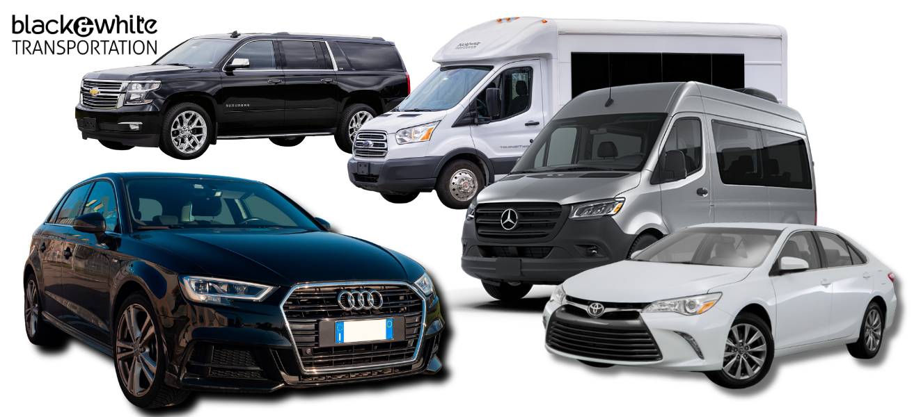 Black & White Transportation Fleet for Greater Toledo