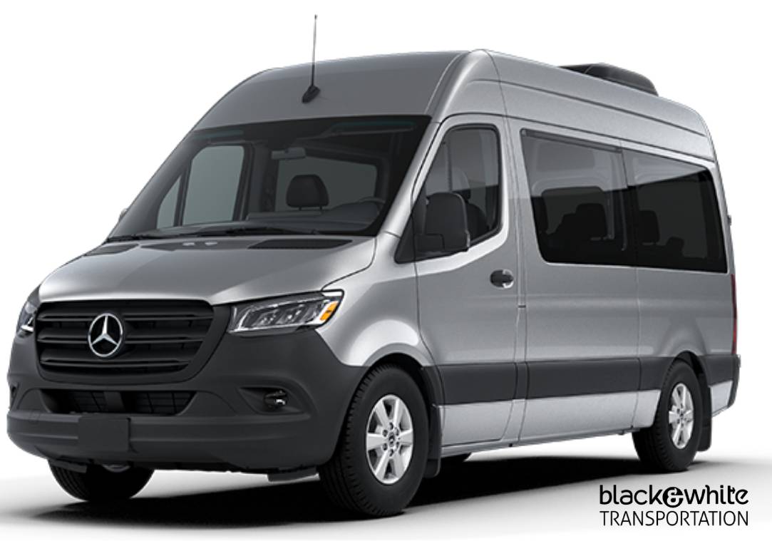 NEMT Passenger Transportation Van