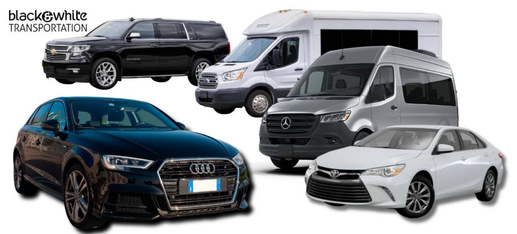 Black & White Transportation Vehicle Fleet