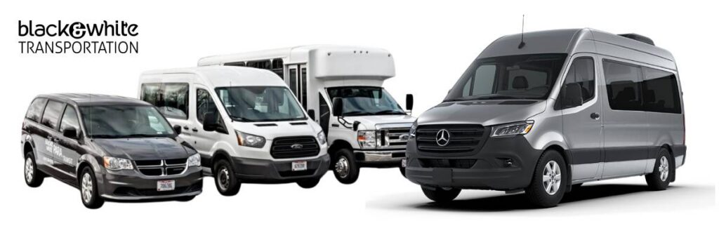 Wheelchair Transportation Vehicles in Toledo Ohio