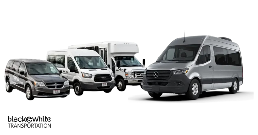 Black & White Transportation Fleet Vehicles