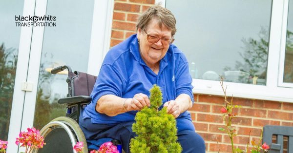 Senior Transportation Services & Disability-Friendly Rides for Toledo Family Caregivers